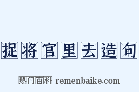捉将官里去造句是什么意思的图片